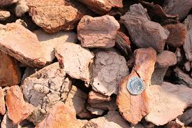 Maritime Pine Bark